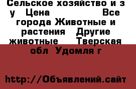 Сельское хозяйство и з/у › Цена ­ 2 500 000 - Все города Животные и растения » Другие животные   . Тверская обл.,Удомля г.